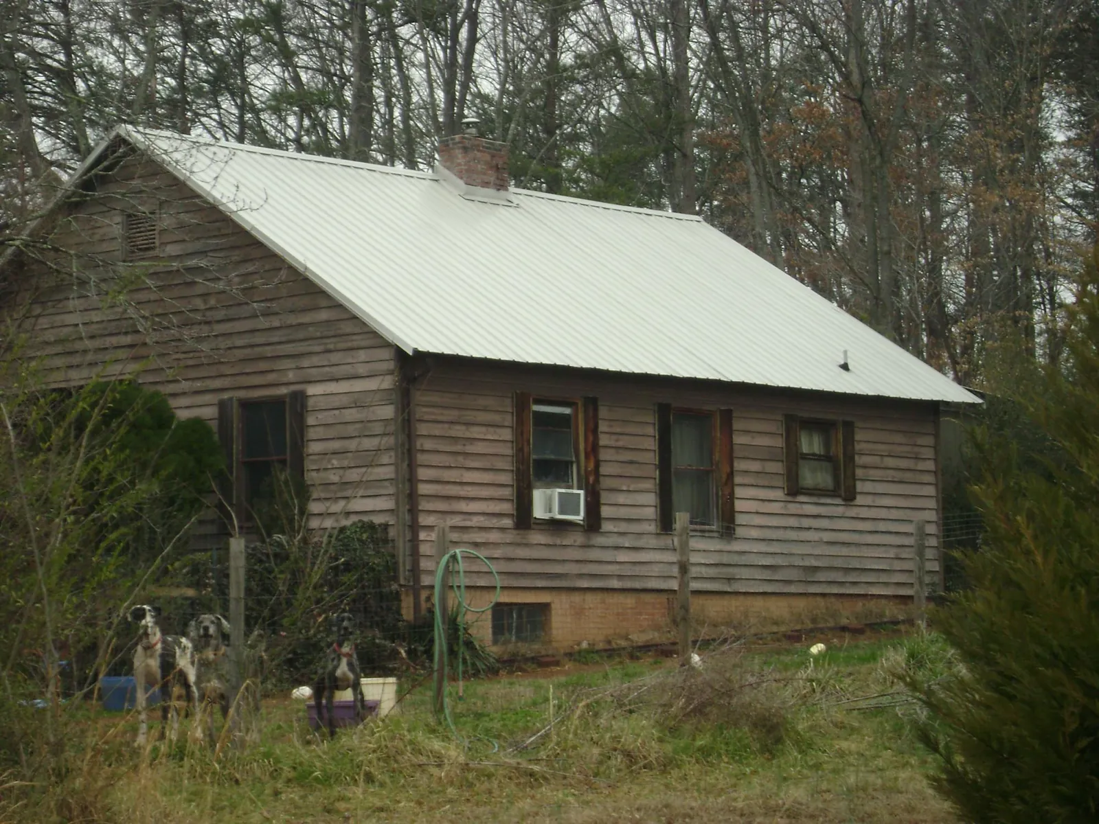 White metal roof on an old wood sided farmhouse, from a Metal Roof Installation job in Cosmos